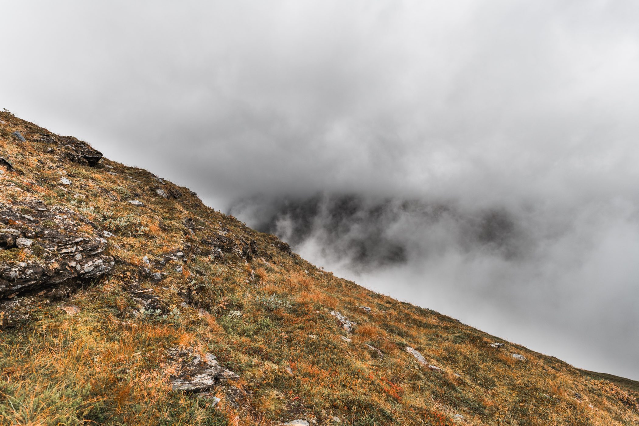 På toppen av ett berg med dimma