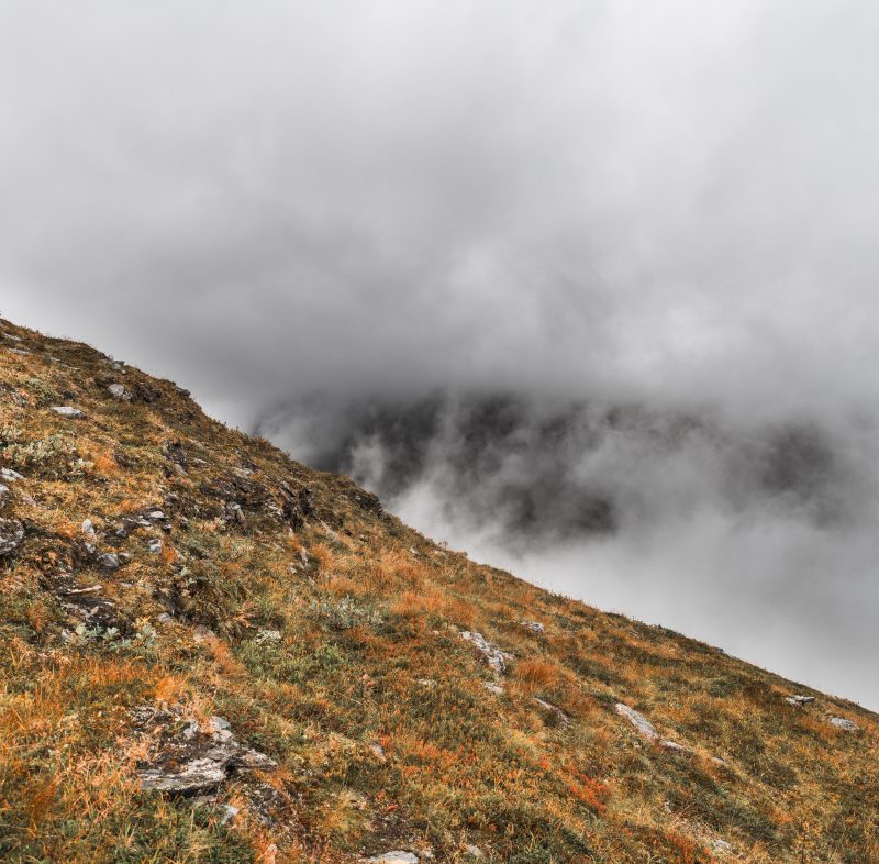 På toppen av ett berg med dimma